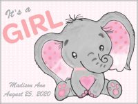 Girl baby elephant